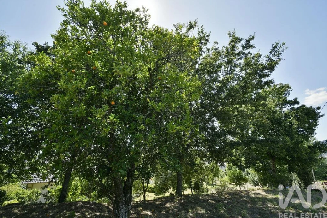 Moradia T4 para Venda em Moure Foto 23