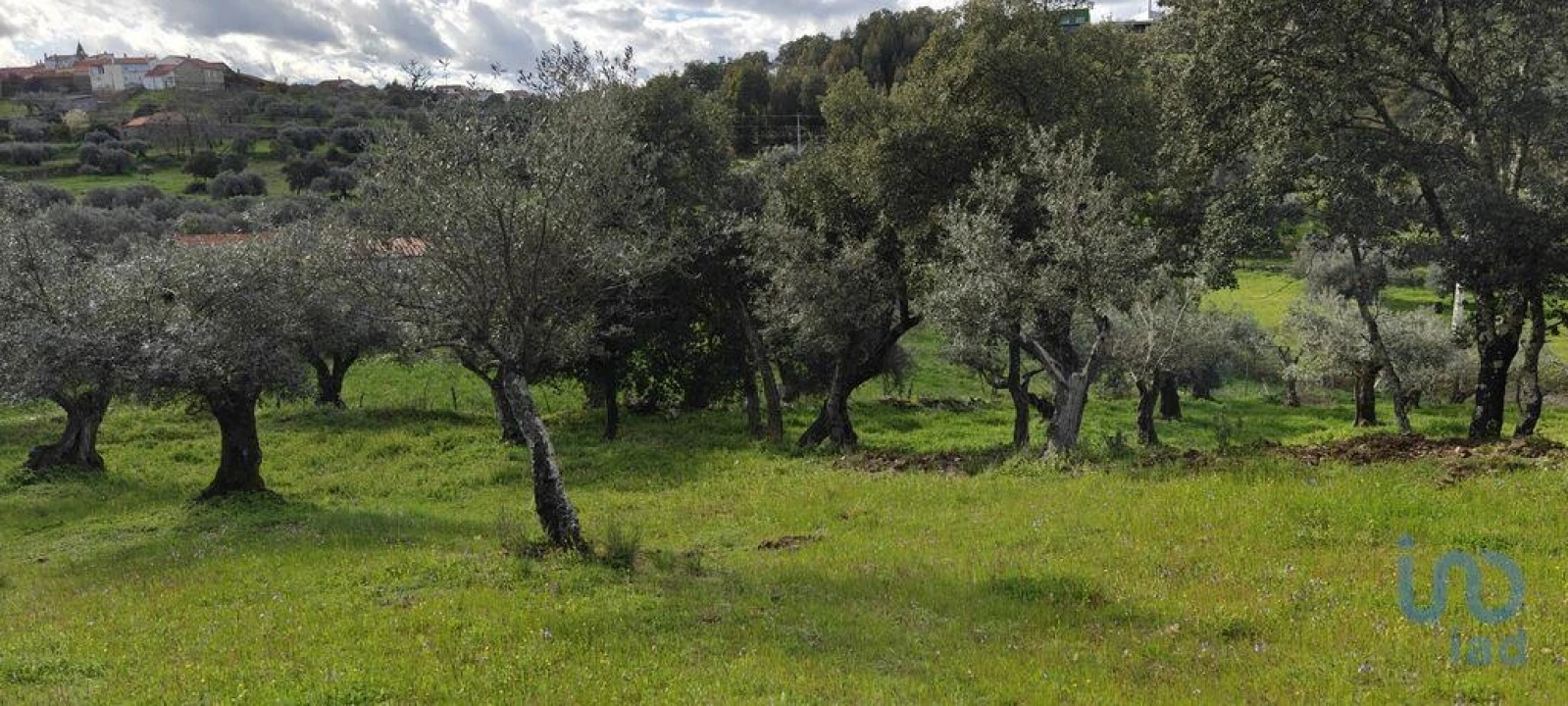 Terreno para Venda em Aranhas Foto 3