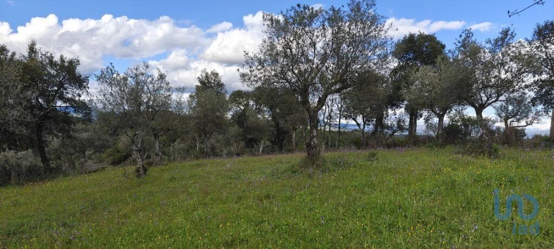 Terreno para Venda em Aranhas Foto 4