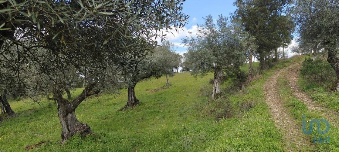 Terreno para Venda em Aranhas Foto 1