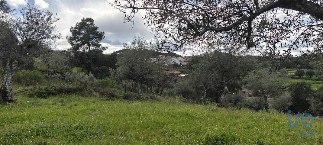 Terreno para Venda em Aranhas Foto 2