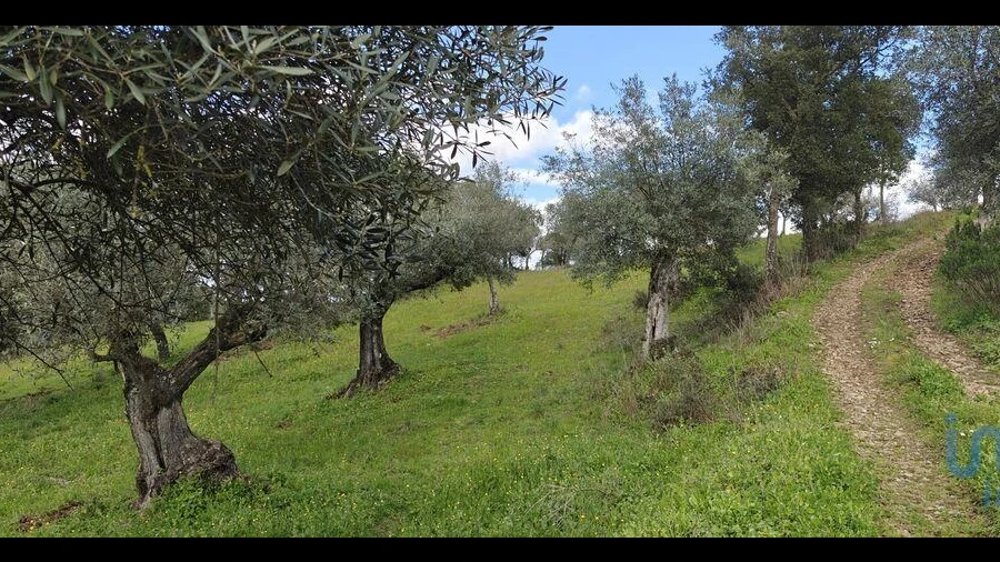 Terreno para Venda em Aranhas