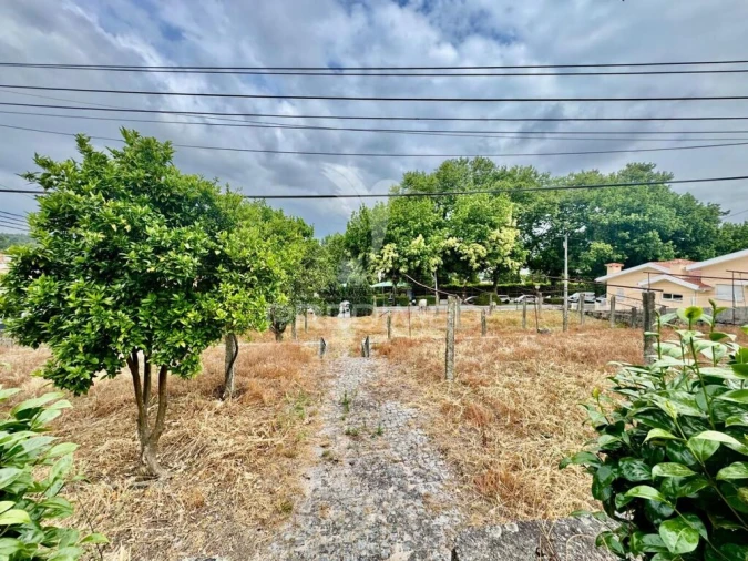 Moradia T3 para Venda em Selho (São Jorge) Foto 3