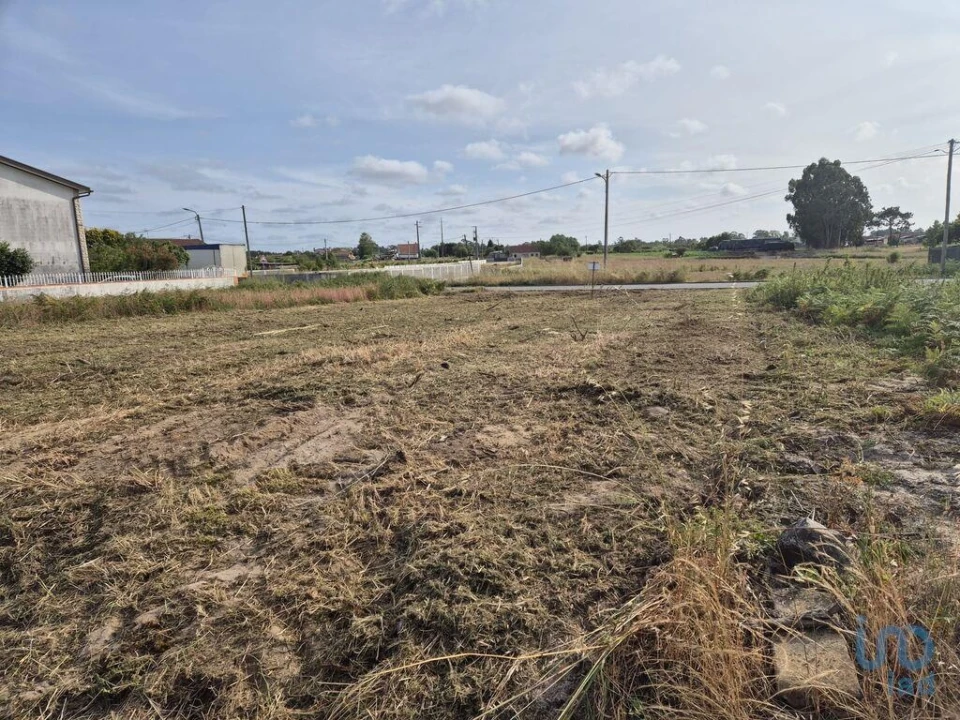 Terreno para Venda em Ponte de Vagos e Santa Catarina Foto 3