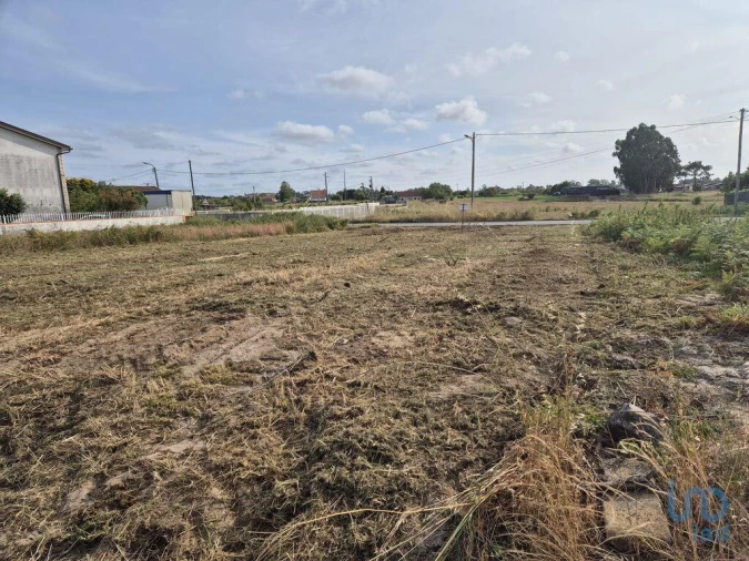 Terreno para Venda em Ponte de Vagos e Santa Catarina Foto 3