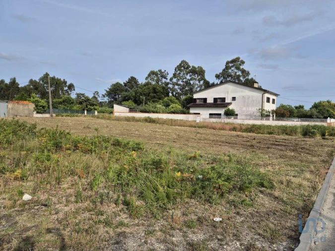 Terreno para Venda em Ponte de Vagos e Santa Catarina Foto 5