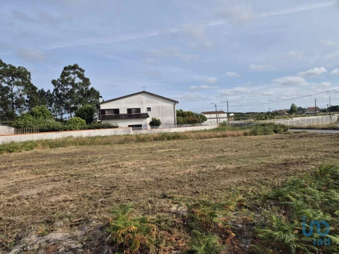Terreno para Venda em Ponte de Vagos e Santa Catarina Foto 4