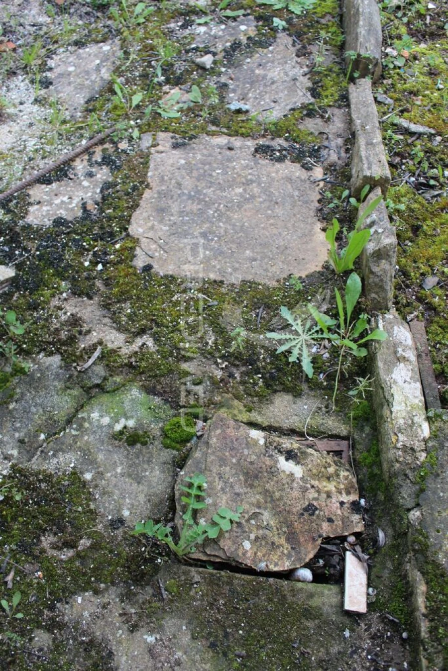 Moradia T1 para Venda em Terrugem e Vila Boim Foto 10