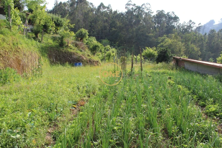 Moradia T3 para Venda em Gondoriz Foto 17