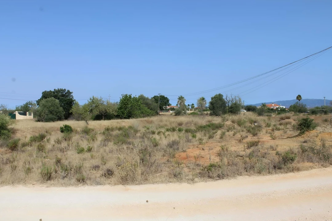 Terreno para Venda em Armação de Pera Foto 5