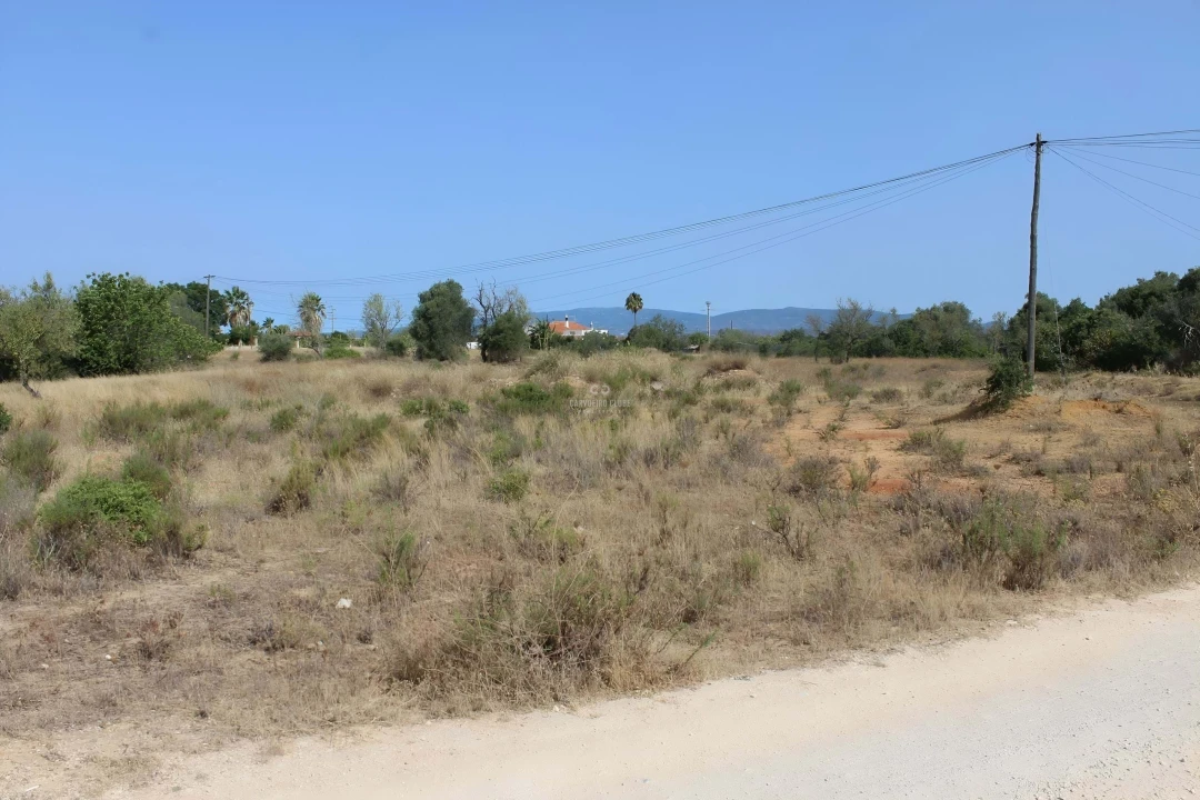 Terreno para Venda em Armação de Pera Foto 6