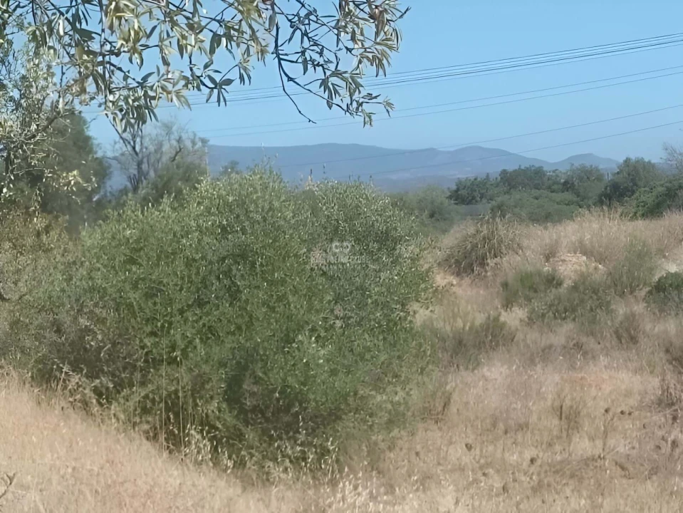 Terreno para Venda em Armação de Pera Foto 2