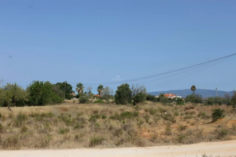 Terreno para Venda em Armação de Pera Foto 8