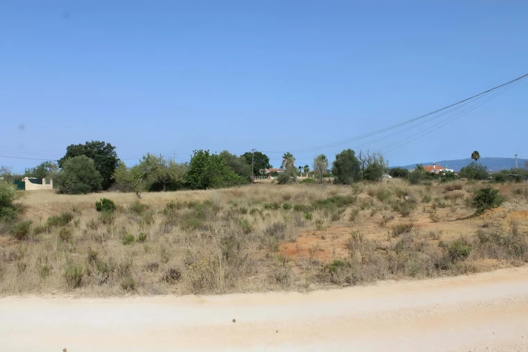 Terreno para Venda em Armação de Pera Foto 5