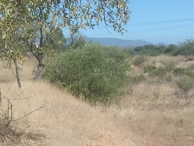 Terreno para Venda em Armação de Pera Foto 13