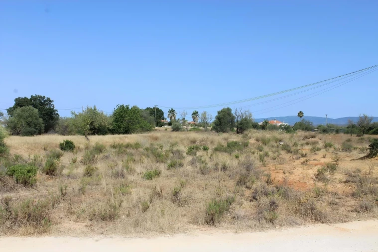 Terreno para Venda em Armação de Pera Foto 3