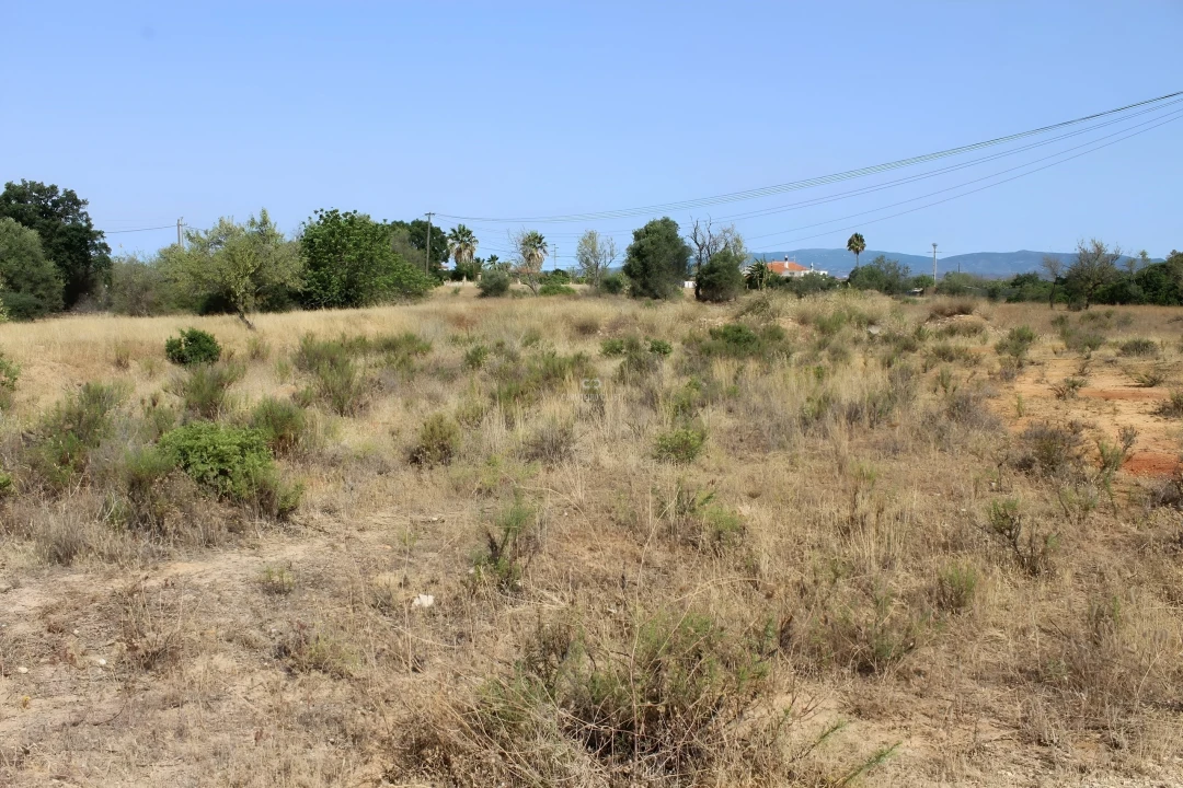 Terreno para Venda em Armação de Pera Foto 4