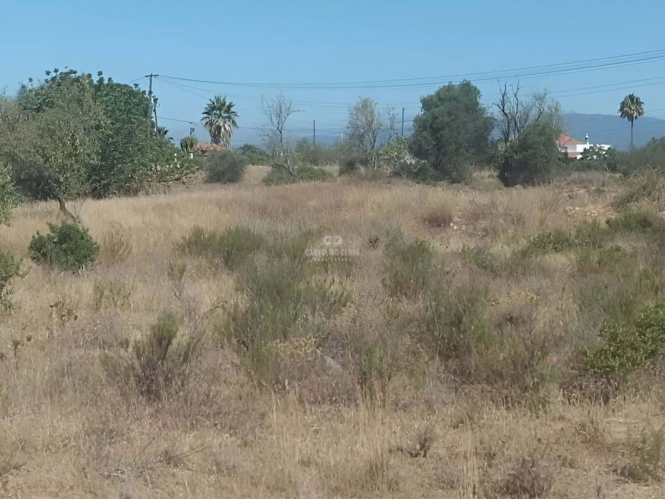 Terreno para Venda em Armação de Pera Foto 10