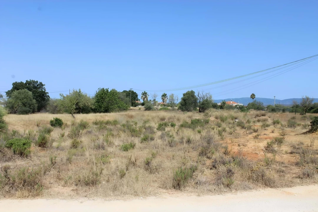 Terreno para Venda em Armação de Pera Foto 3