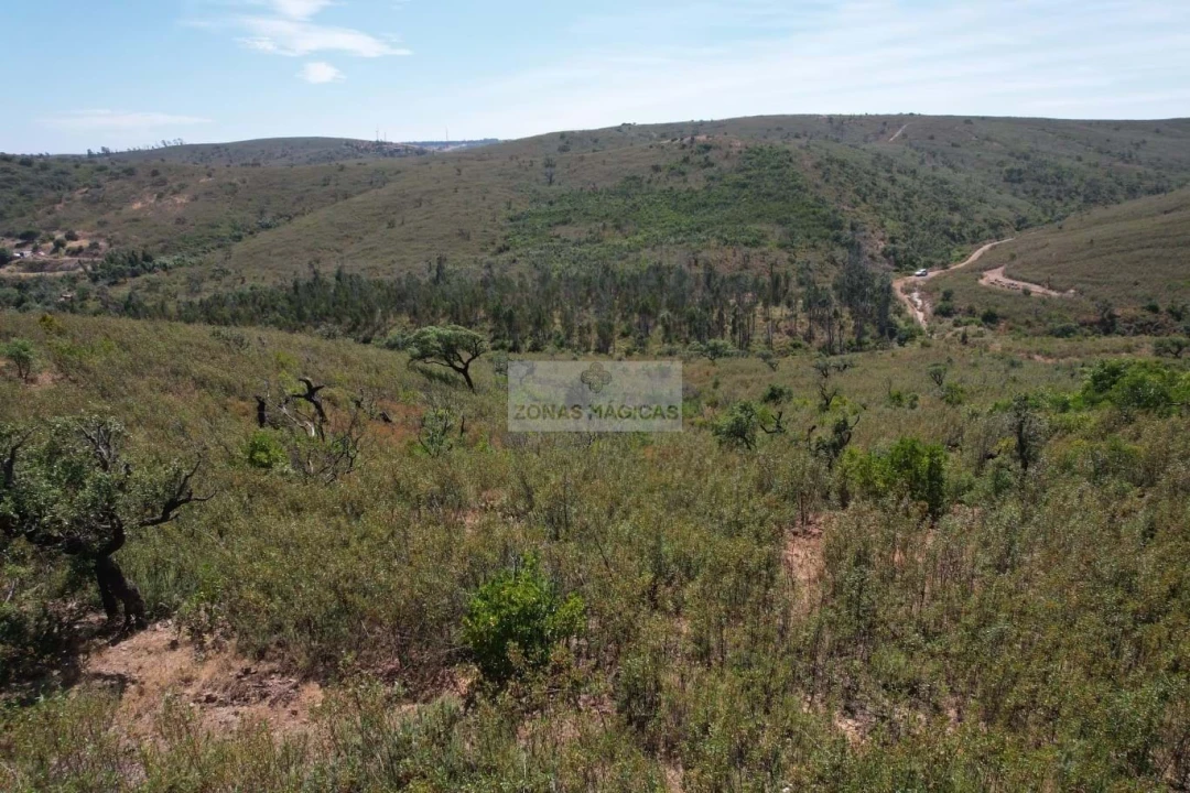 Terreno para Venda em Barão de São Miguel Foto 2