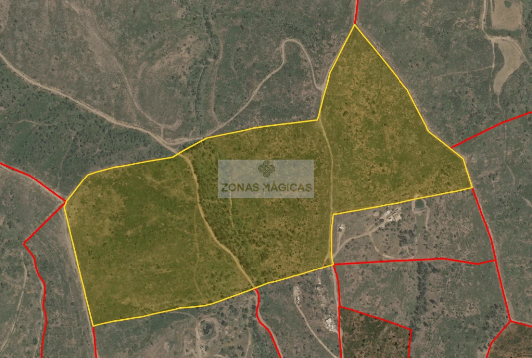 Terreno para Venda em Barão de São Miguel Foto 7