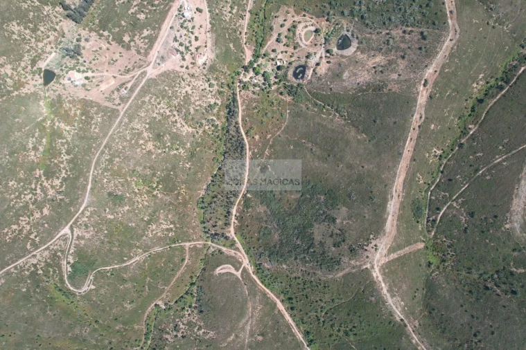 Terreno para Venda em Barão de São Miguel Foto 6