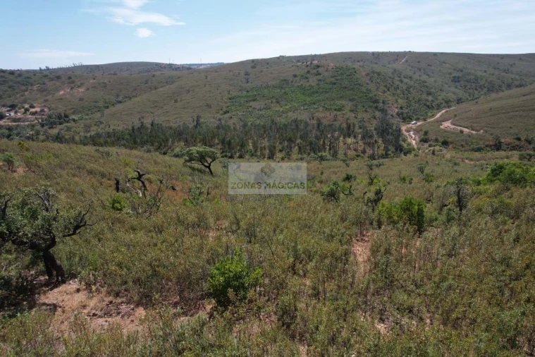 Terreno para Venda em Barão de São Miguel Foto 2