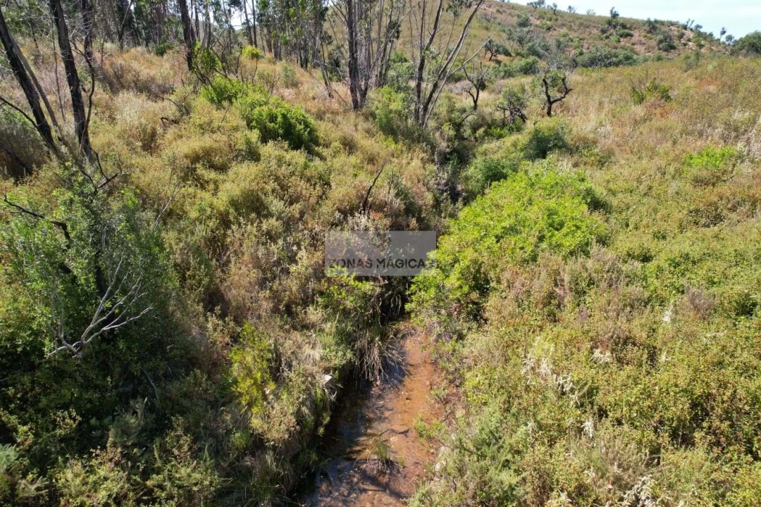 Terreno para Venda em Barão de São Miguel Foto 3