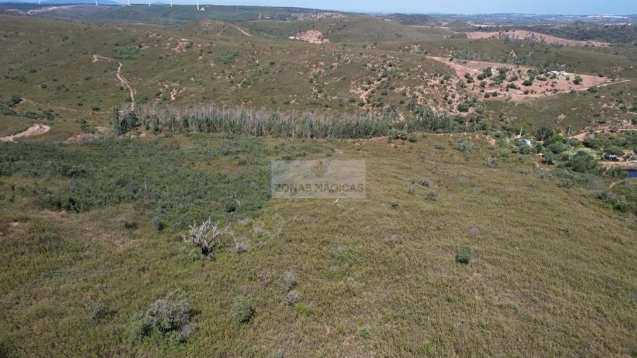 Terreno para Venda em Barão de São Miguel