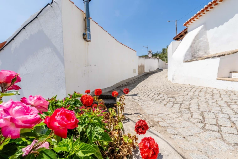 Moradia T1 para Venda em Bordeira Foto 23