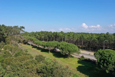Apartamento T3 para Venda em Nazare