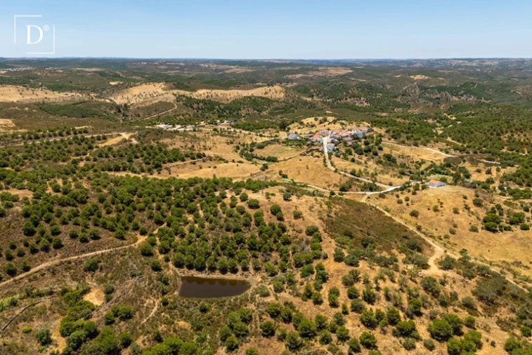 Moradia para Venda em Alcoutim e Pereiro Foto 21