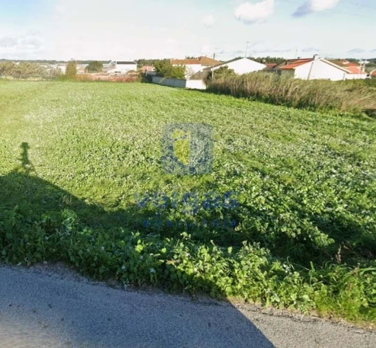 Terreno Agricola ou Rústico para Venda em Silveira Foto 7