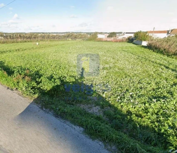 Terreno Agricola ou Rústico para Venda em Silveira Foto 6