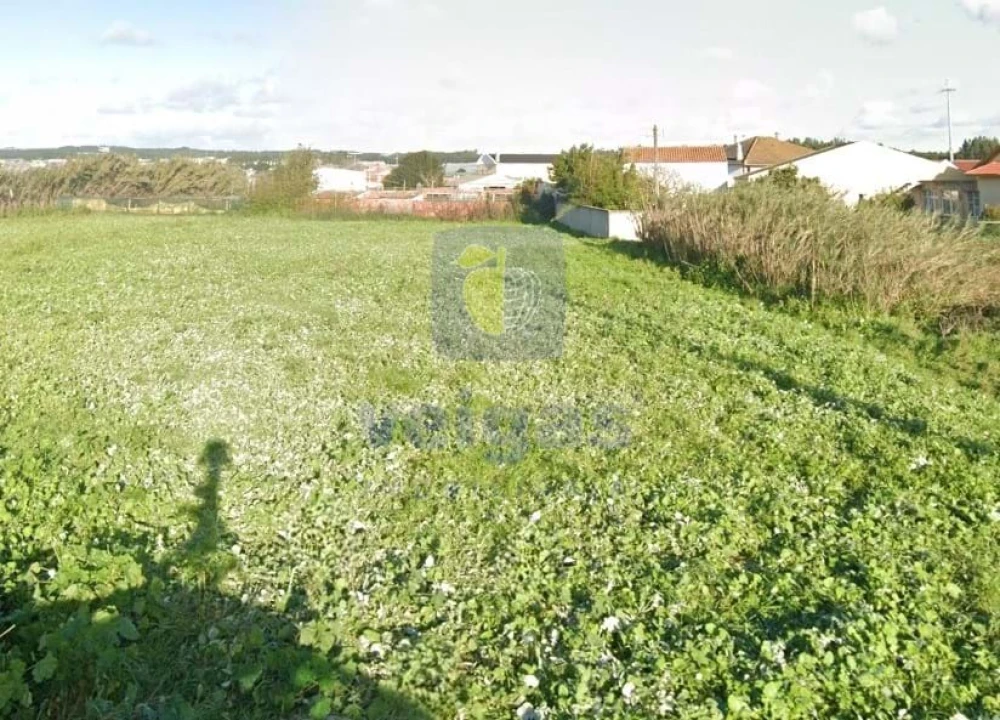 Terreno Agricola ou Rústico para Venda em Silveira Foto 3