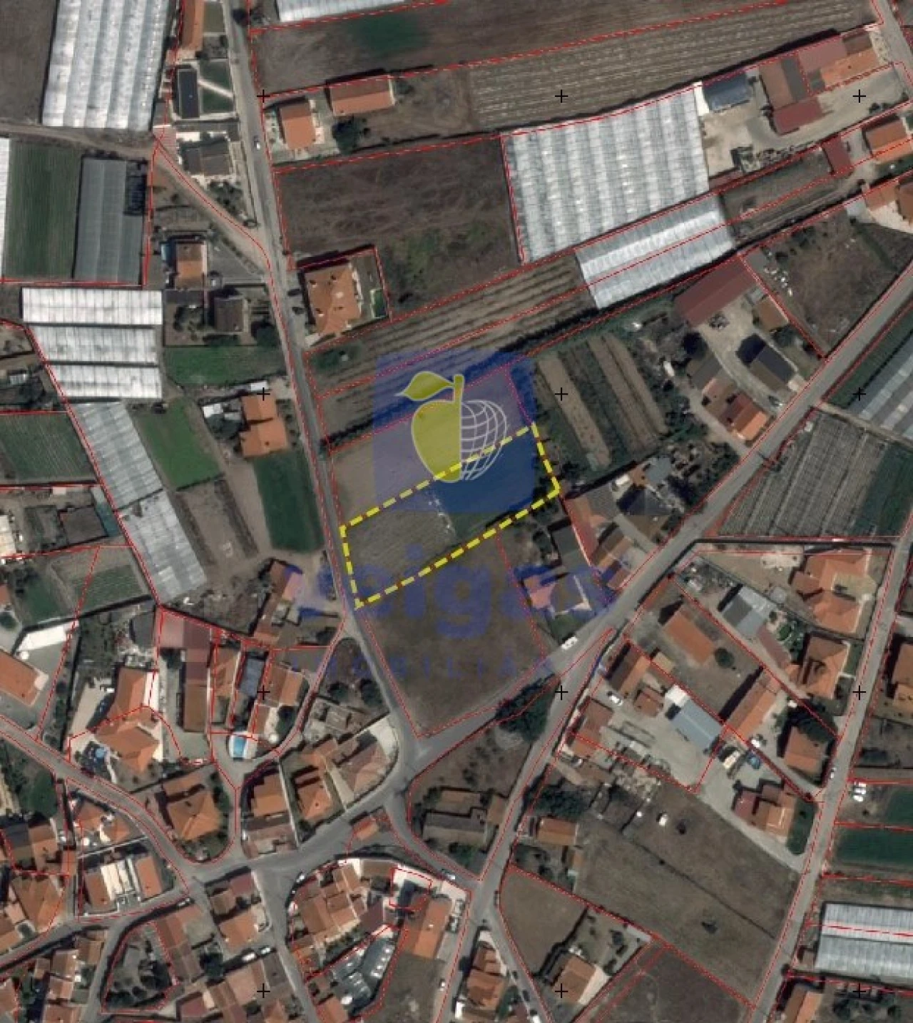 Terreno Agricola ou Rústico para Venda em Silveira Foto 8