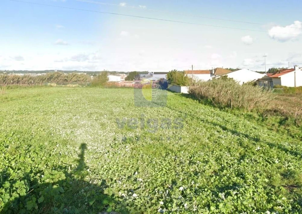 Terreno Agricola ou Rústico para Venda em Silveira Foto 4