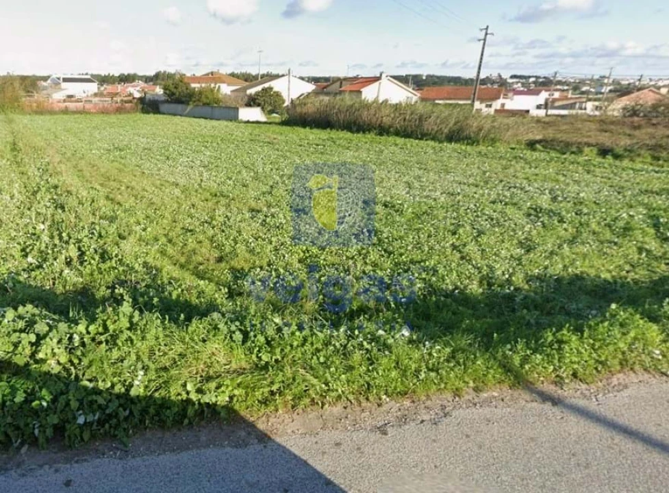 Terreno Agricola ou Rústico para Venda em Silveira Foto 1