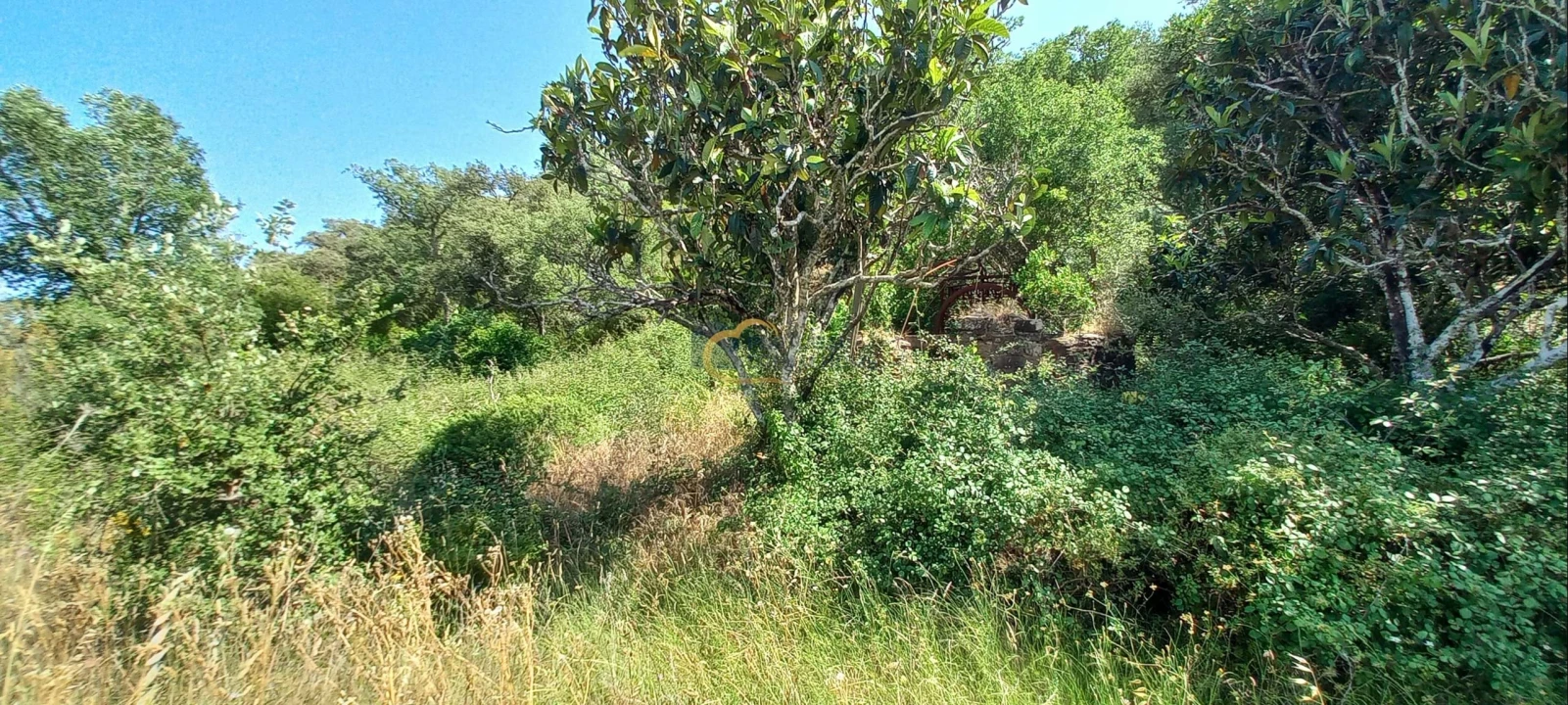 Quinta T2 para Venda em São Marcos da Serra Foto 7