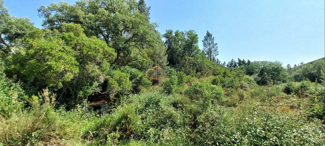Quinta T2 para Venda em São Marcos da Serra Foto 38