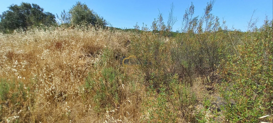 Quinta T2 para Venda em São Marcos da Serra Foto 18