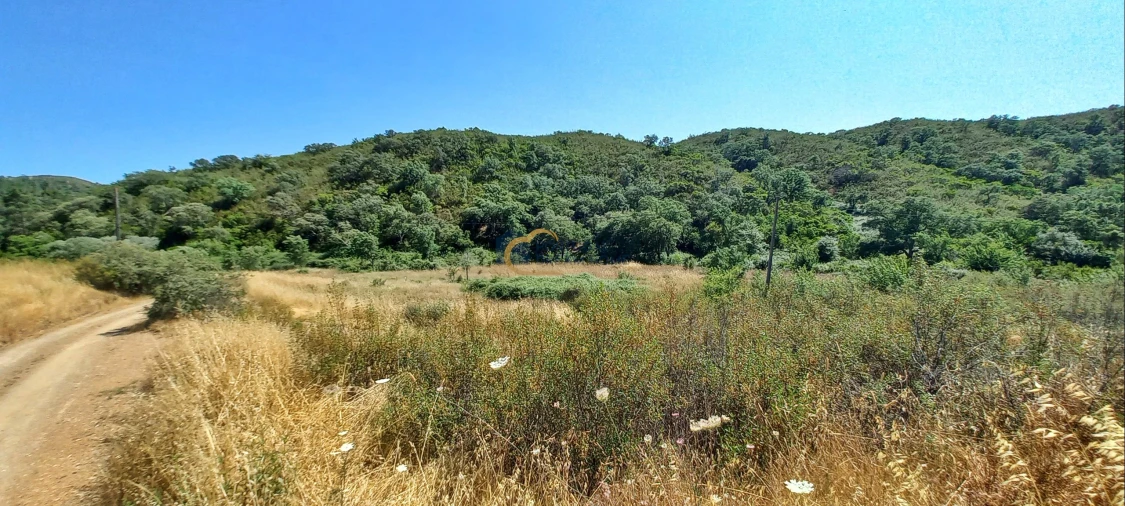 Quinta T2 para Venda em São Marcos da Serra Foto 23