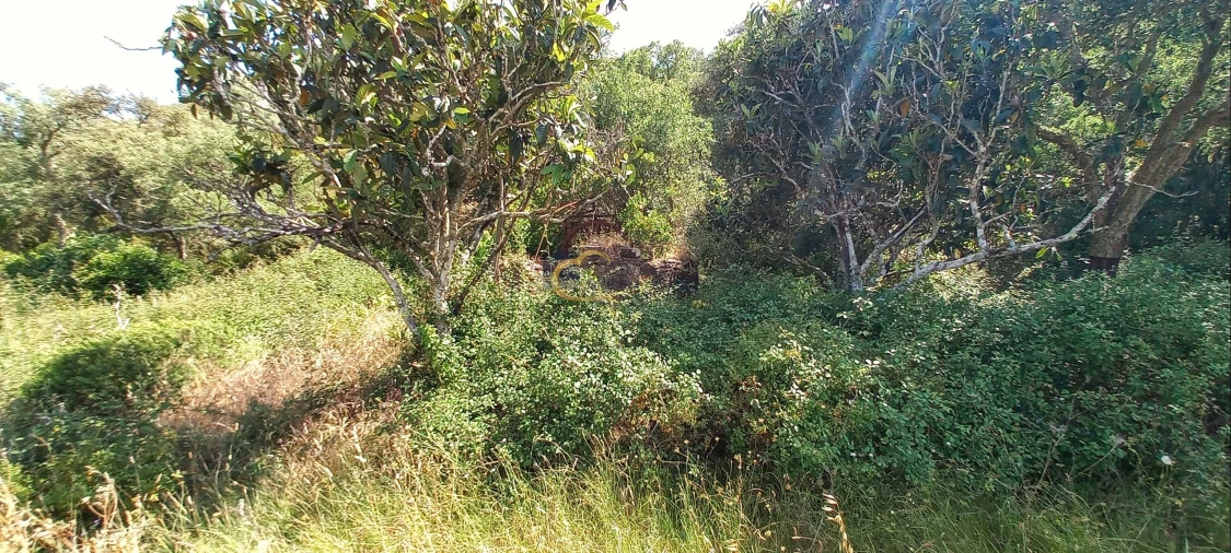 Quinta T2 para Venda em São Marcos da Serra Foto 9