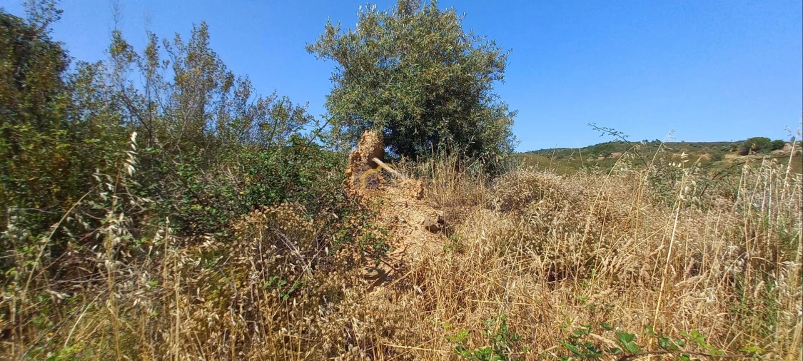 Quinta T2 para Venda em São Marcos da Serra Foto 13