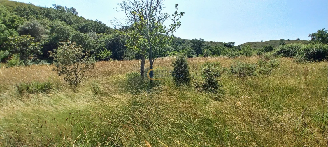 Quinta T2 para Venda em São Marcos da Serra Foto 12