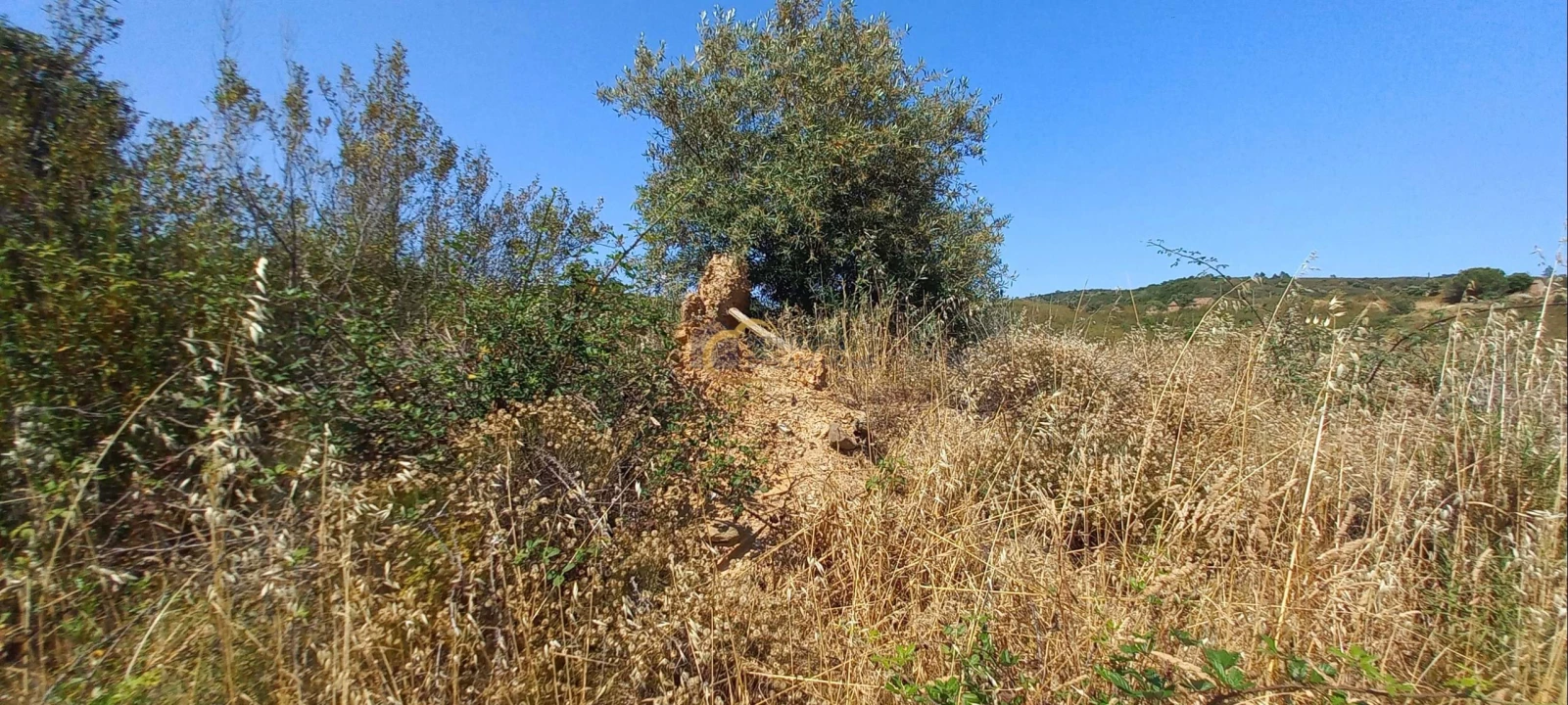 Quinta T2 para Venda em São Marcos da Serra Foto 13