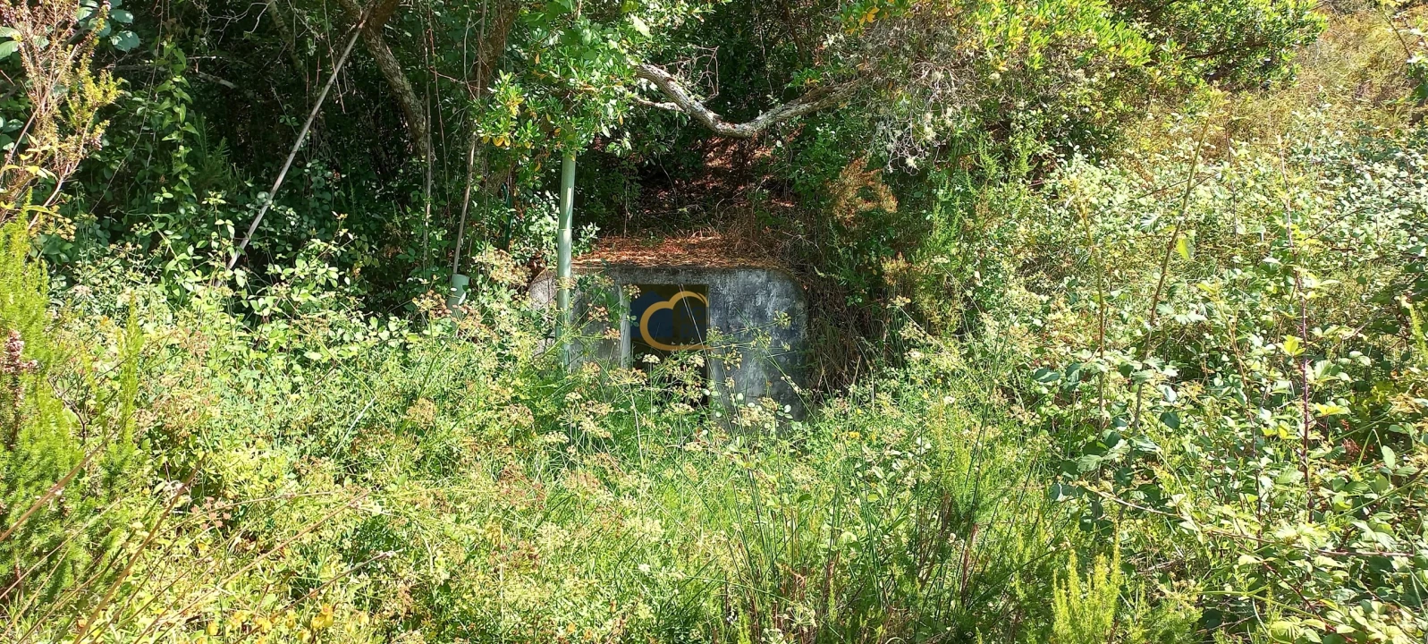 Quinta T2 para Venda em São Marcos da Serra Foto 41