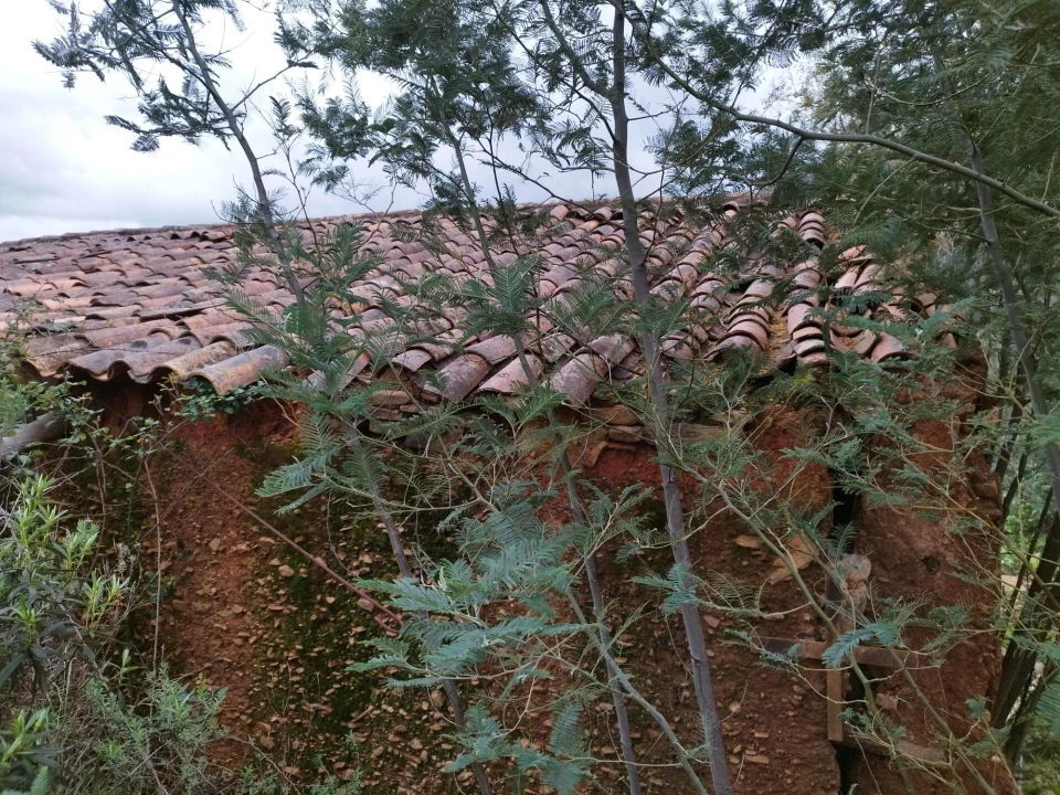 Quinta para Venda em Monchique Foto 8