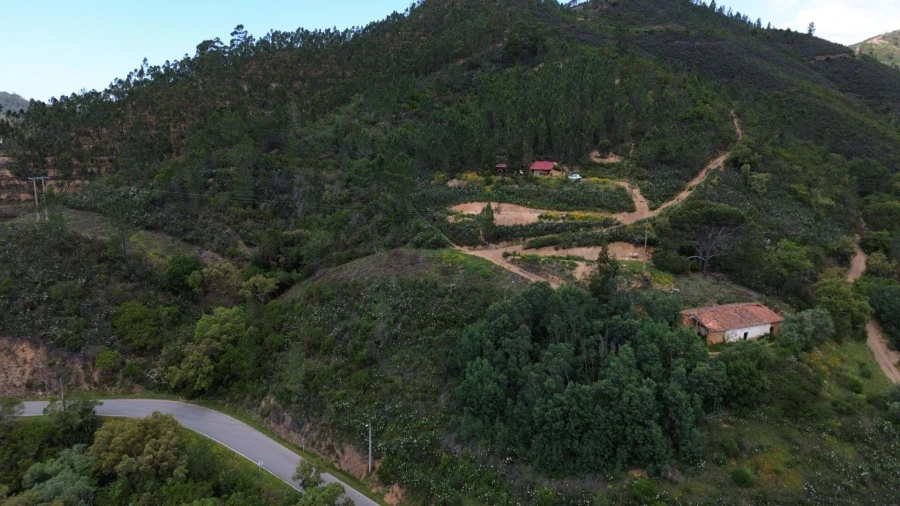 Quinta para Venda em Monchique