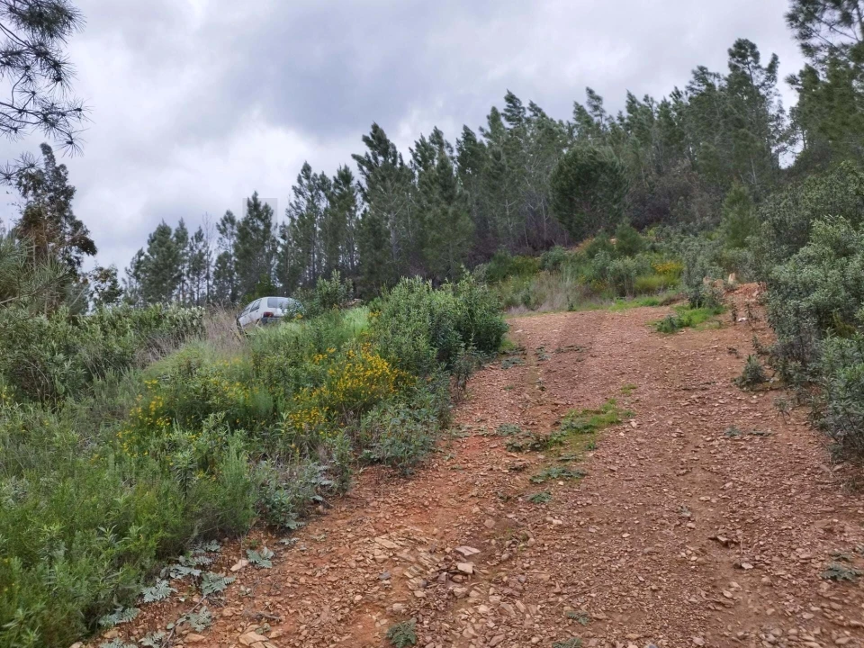Quinta para Venda em Monchique Foto 9